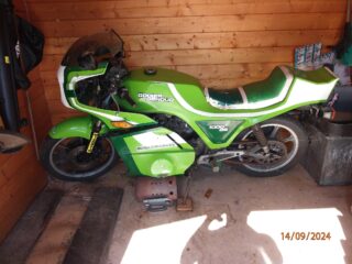 Kawasaki Godier Genoud